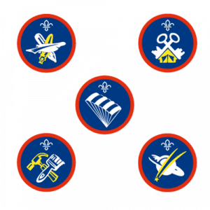 Scout Activity Badges